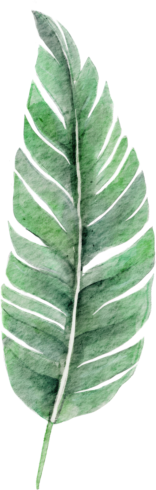 Palm Leaf Watercolor