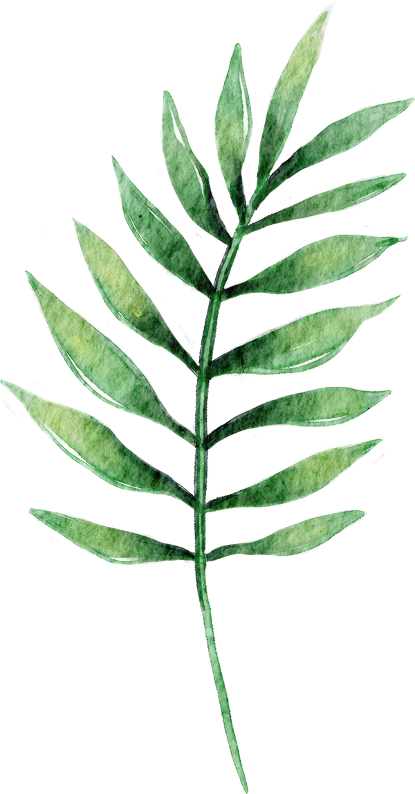 Tropical Leaf