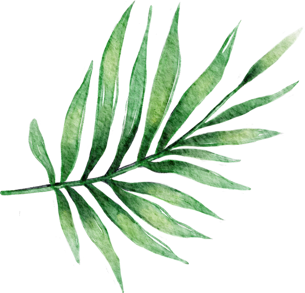 Tropical Leaf