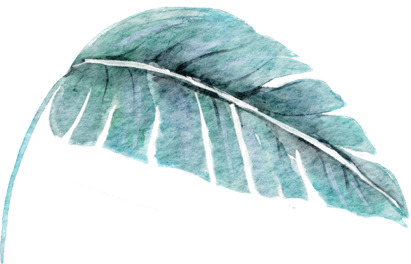 Tropical Leaf